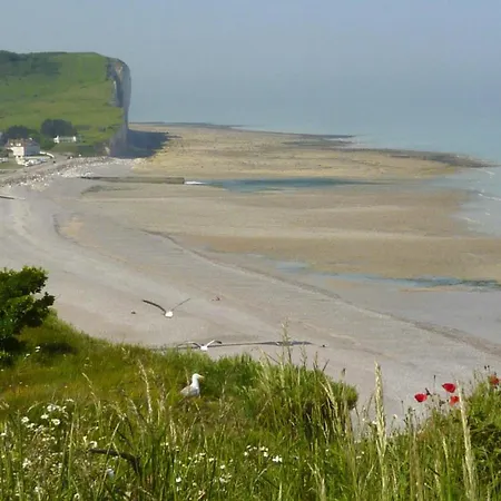 Holiday In Sur Mer Near Sea Holiday home Criel-sur-Mer