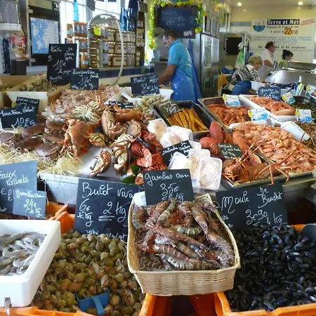 Holiday In Sur Mer Near Sea Casa vacanze